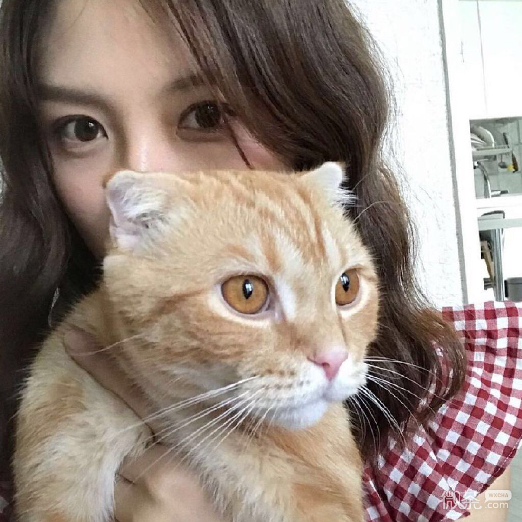 微信清纯长发高颜值女头