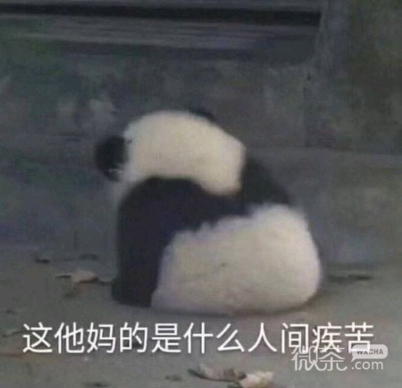 微信近期斗图恶搞表情包2019/9/19
