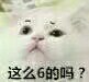 窝在怀里微信恶搞傻屌斗图表情包