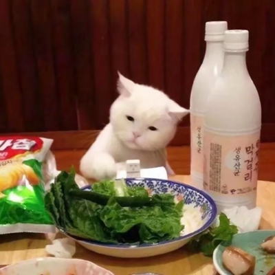 适合沙雕女孩的微信搞笑头像合集下载