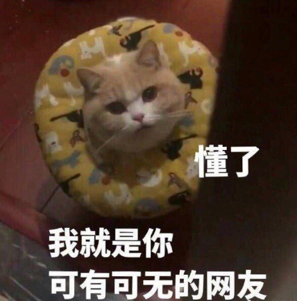 微信最新关于失宠的聊天表情包合集下载