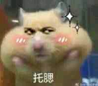 向大佬低头微信恶搞傻屌斗图表情包