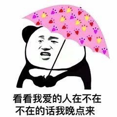 熊猫头撑伞系列微信表情包合集下载