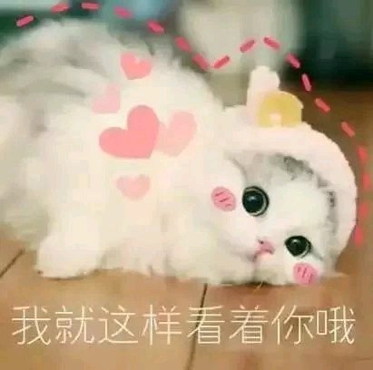 微信调皮搞怪二次元斗图表情包