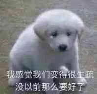 微信最新关于失宠的聊天表情包合集下载