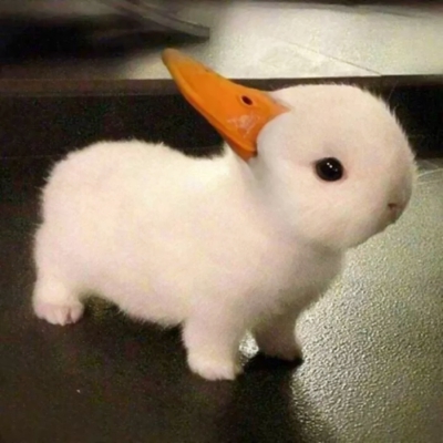 适合沙雕女孩的微信搞笑头像合集下载