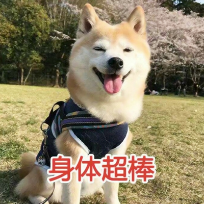 可爱带字的微信个性汪星人头像下载