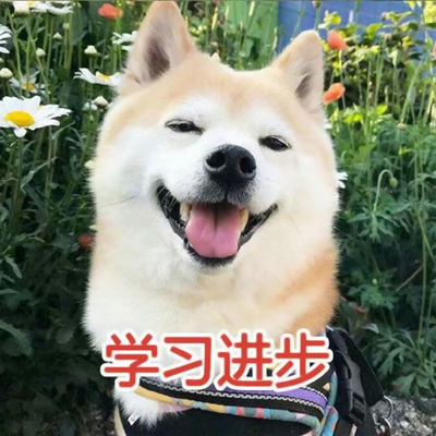 可爱带字的微信个性汪星人头像下载