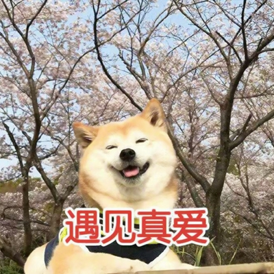 可爱带字的微信个性汪星人头像下载