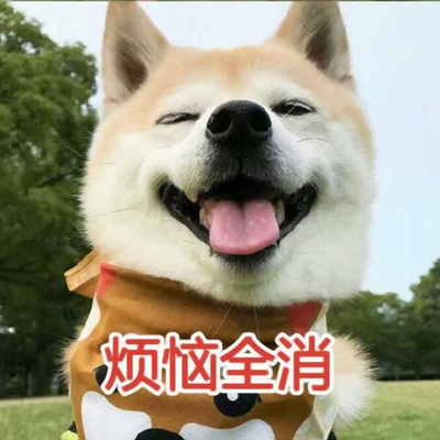 可爱带字的微信个性汪星人头像下载