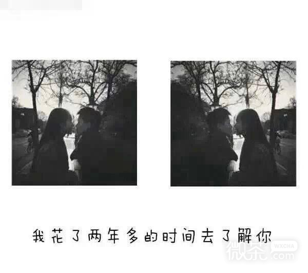 个性带字的微信唯美情侣图片下载