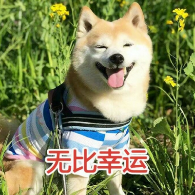 可爱带字的微信个性汪星人头像下载