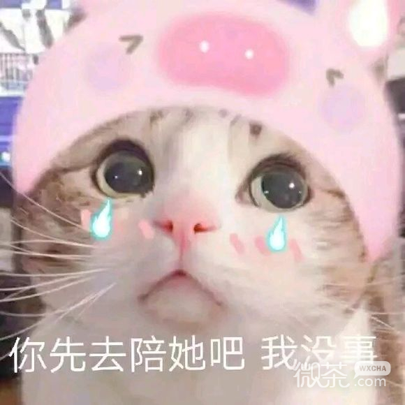 微信近期斗图恶搞表情包2019/9/30