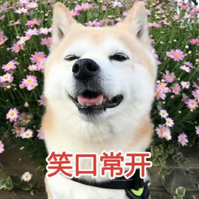 可爱带字的微信个性汪星人头像下载