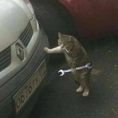 搞笑又沙雕的微信卡通头像合集下载