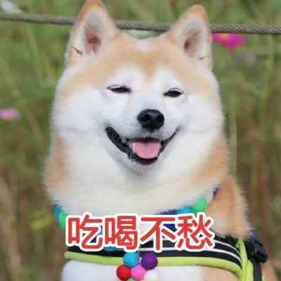 可爱带字的微信个性汪星人头像下载