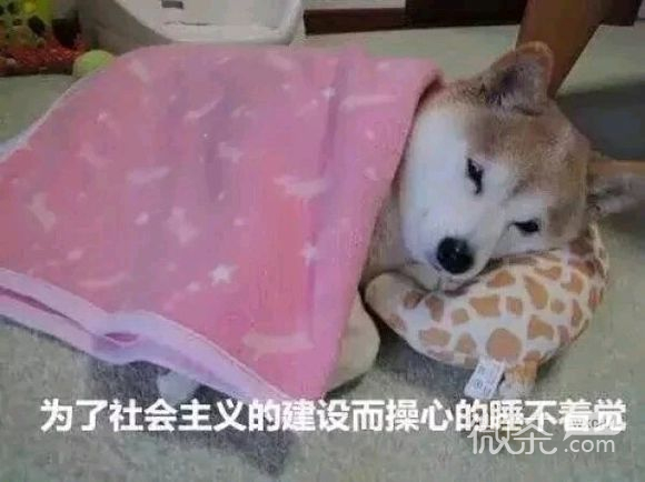 微信近期斗图恶搞表情包2019/9/30