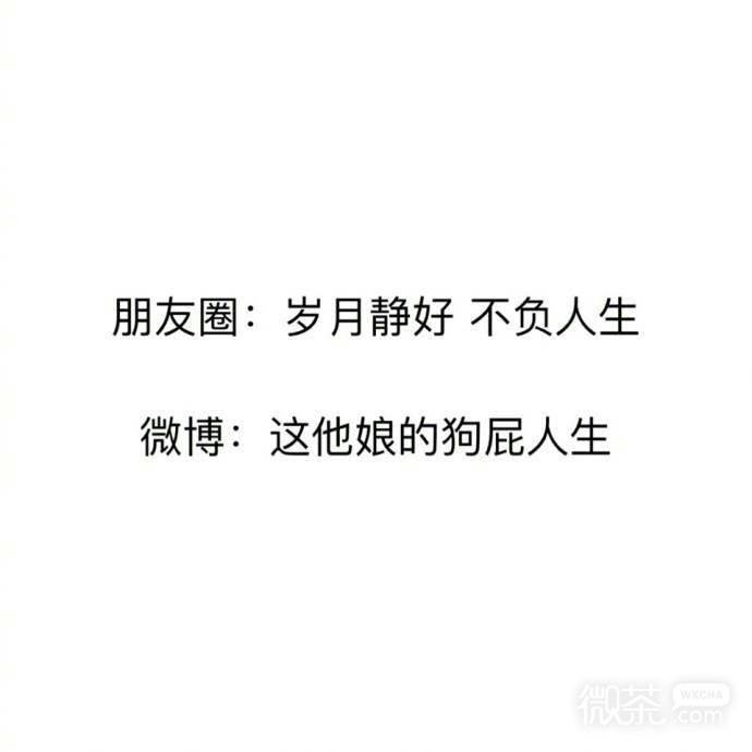 朋友圈和微博的变化系列微信文字表情包下载