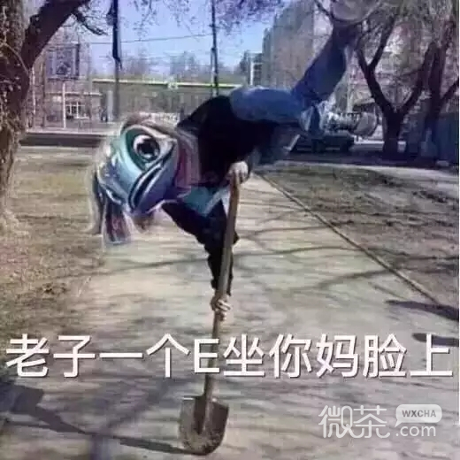 微信搞怪动态斗图表情包