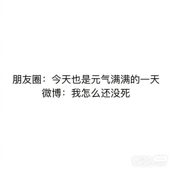 朋友圈和微博的变化系列微信文字表情包下载