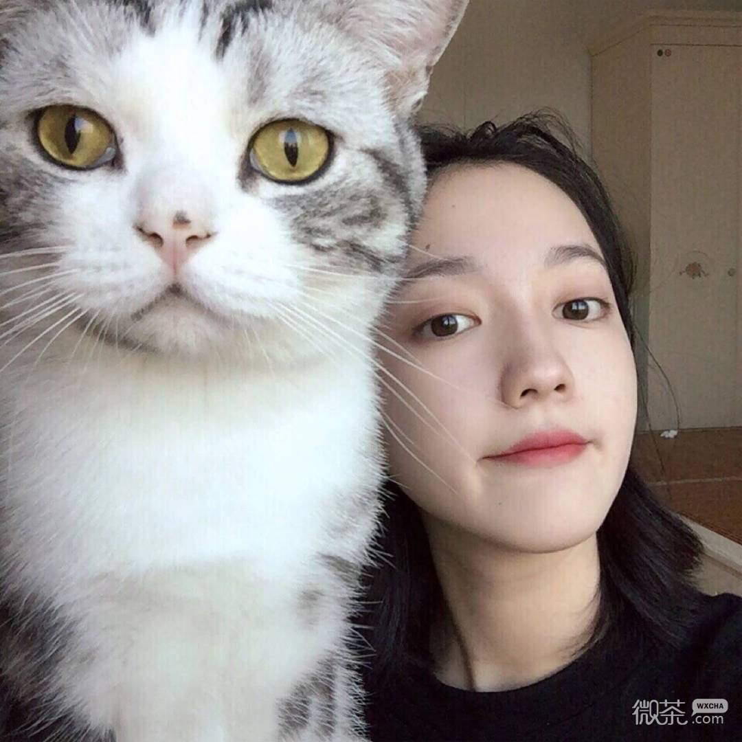 微信简洁清纯女头