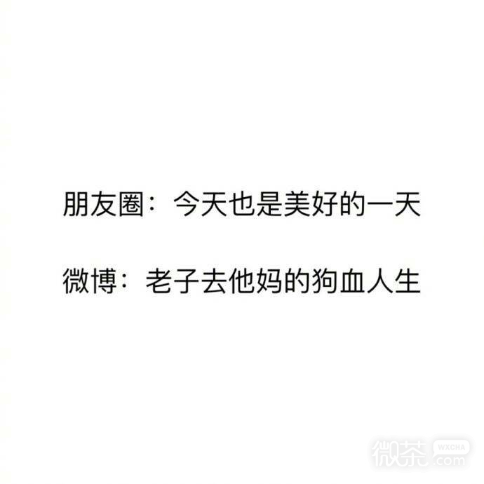 朋友圈和微博的变化系列微信文字表情包下载