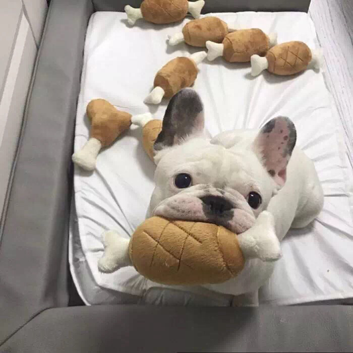 文艺风景朋友圈配图