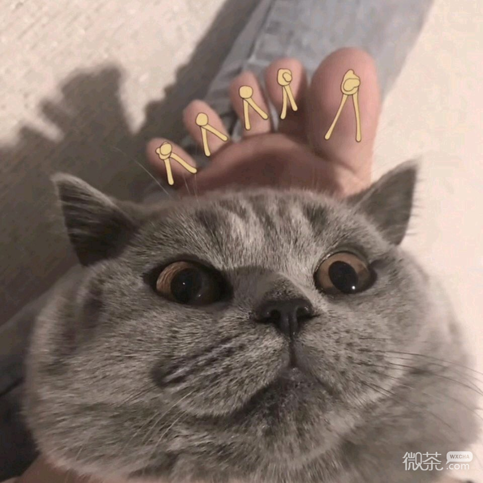 阳光性感气质网红女头