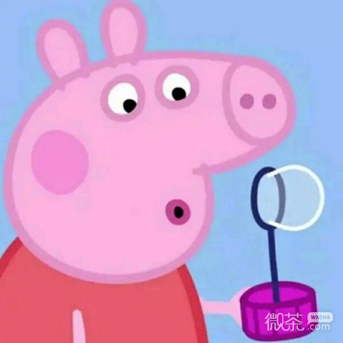 微信简洁可爱动漫情头