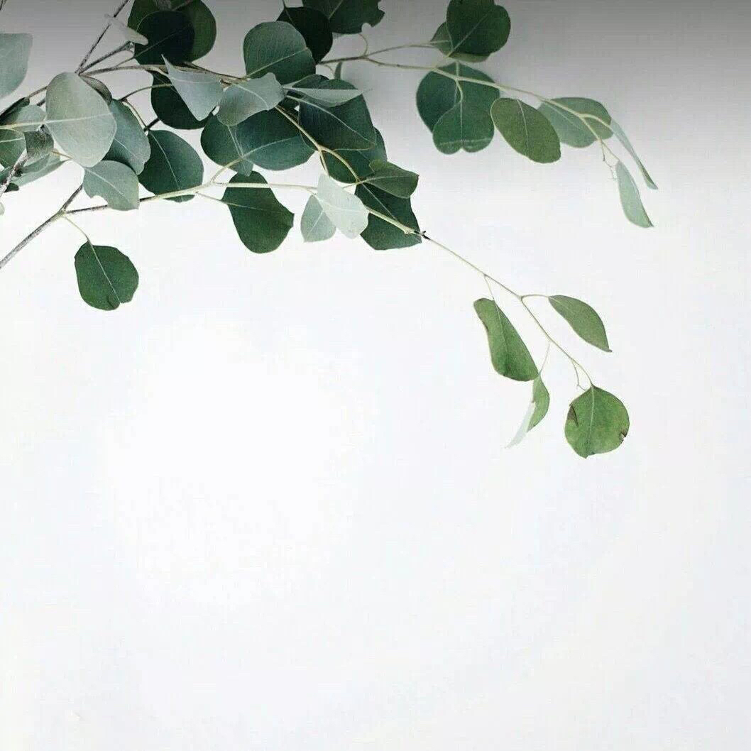 文艺风景朋友圈配图