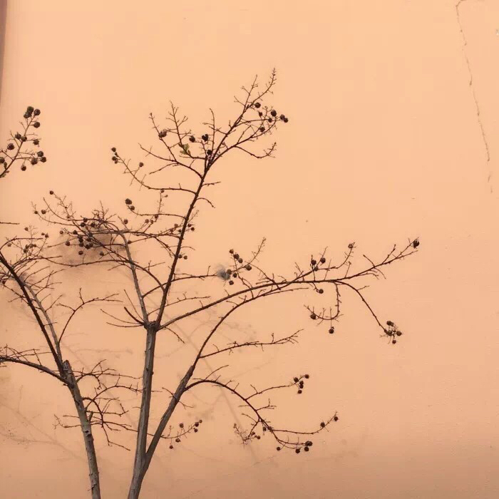 文艺风景朋友圈配图