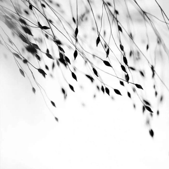 文艺风景朋友圈配图