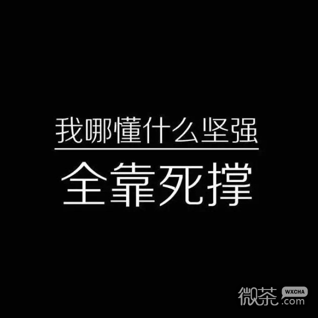 文字朋友圈配图