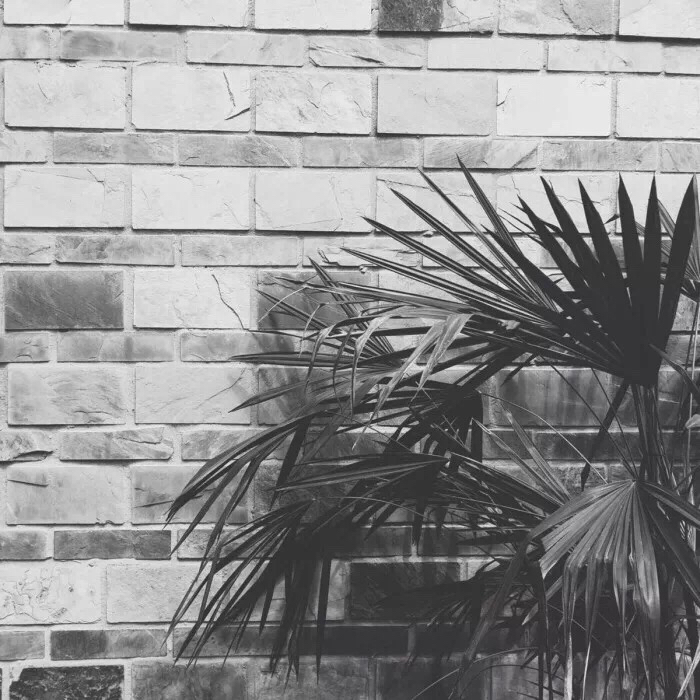 文艺风景朋友圈配图