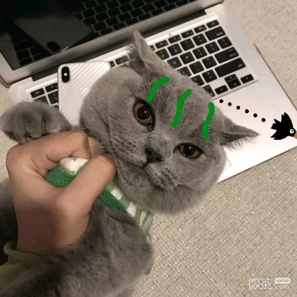 阳光性感气质网红女头
