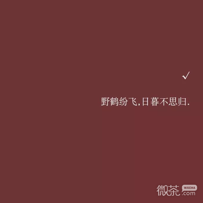 文字朋友圈配图