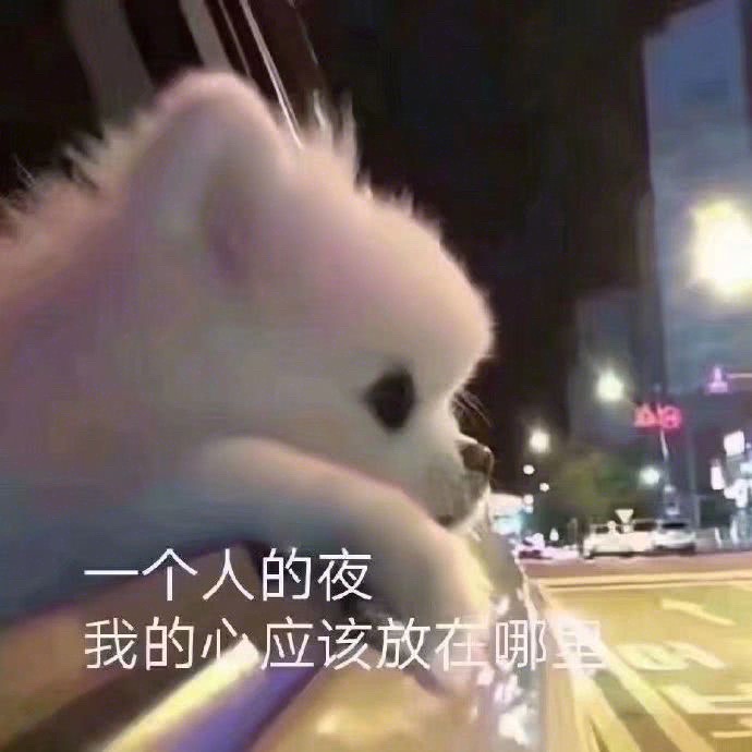 微信最新沙雕带字喵星人表情包合集下载