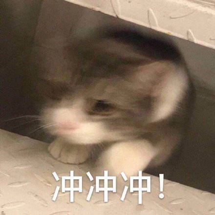 猥琐搞笑的微信冲冲冲表情包下载