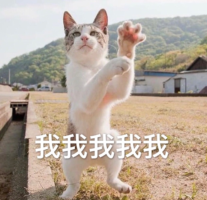 微信最新沙雕带字喵星人表情包合集下载