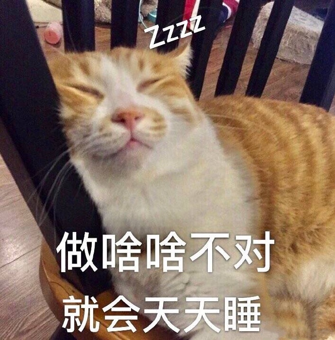 微信最新沙雕带字喵星人表情包合集下载