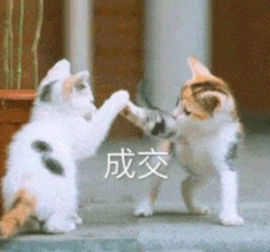微信最新沙雕带字喵星人表情包合集下载