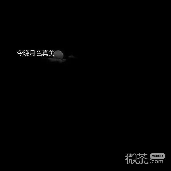 意境风景静物朋友圈配图