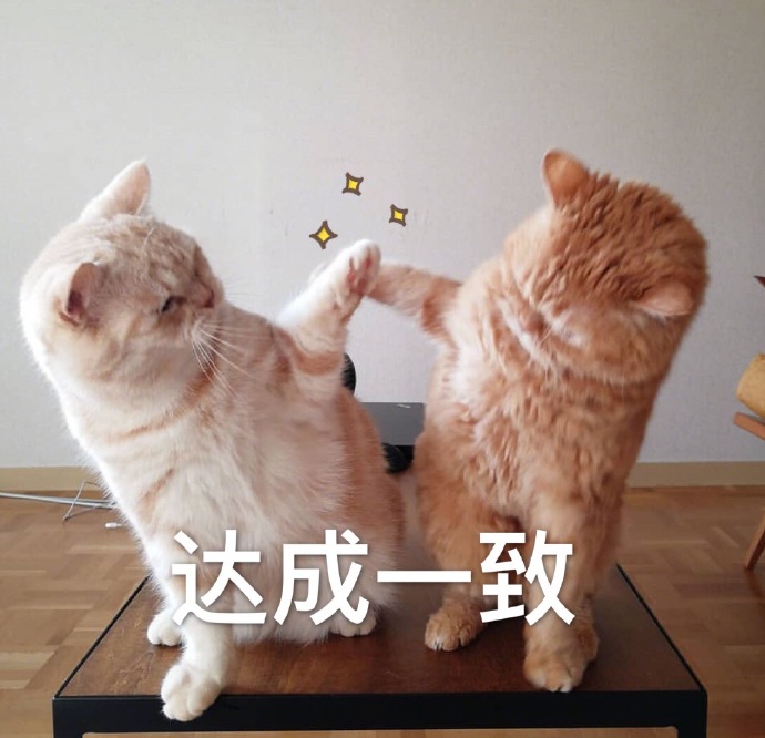 微信最新沙雕带字喵星人表情包合集下载