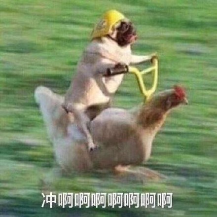 猥琐搞笑的微信冲冲冲表情包下载