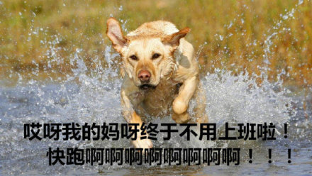 等待国庆专用的微信表情包合集下载