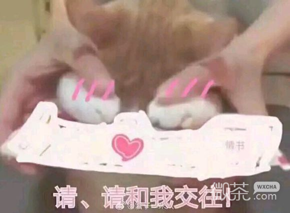 偷偷开心微信恶搞斗图表情包