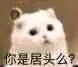 偷偷开心微信恶搞斗图表情包