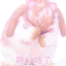 接到微信恶搞傻屌斗图表情包