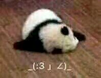 接到微信恶搞傻屌斗图表情包