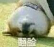 偷偷开心微信恶搞斗图表情包